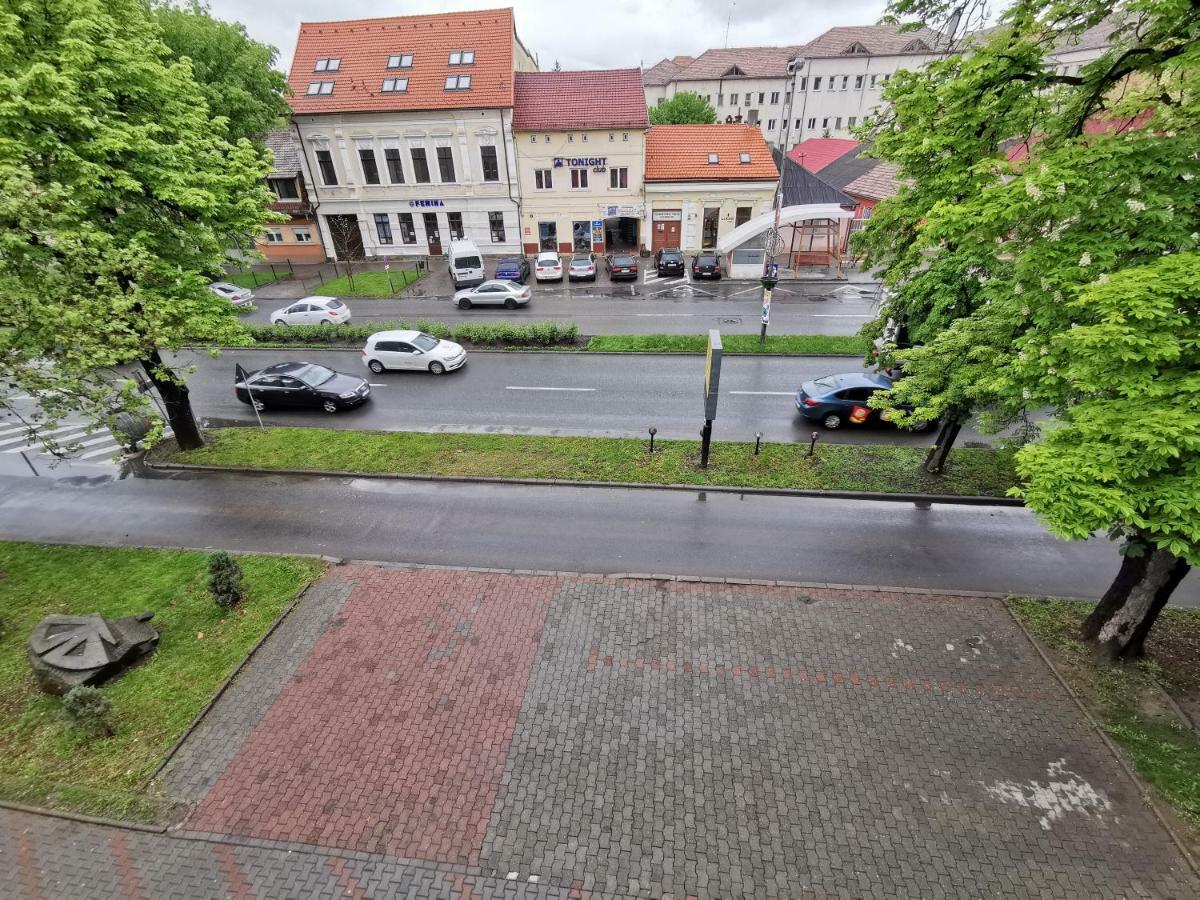 Pensiunea Stefan Bistriţa Dış mekan fotoğraf